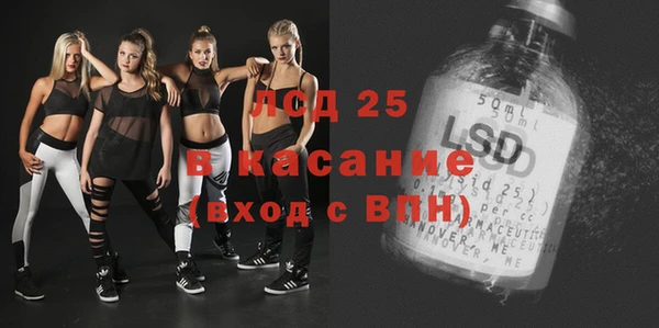 шишки Балахна