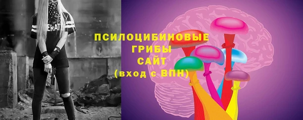 шишки Балахна