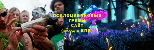 шишки Балахна