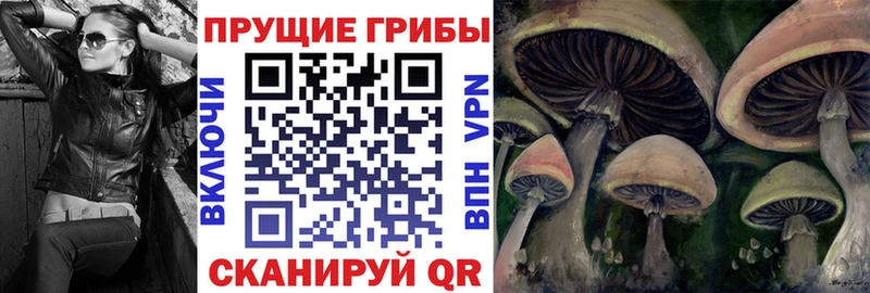 Псилоцибиновые грибы прущие грибы Брюховецкая
